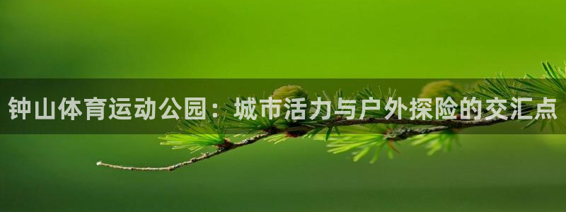 oety欧亿体育官网下载平台假的吗是真的吗:钟山体育运动公园