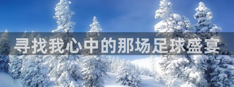 欧亿体育官方集团官网:寻找我心中的那场足球盛宴
