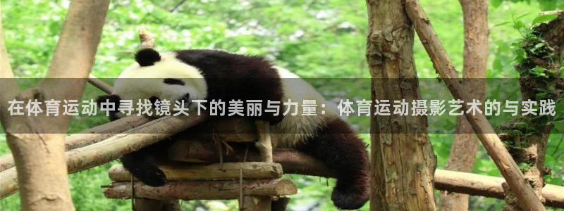 oety欧亿体育官网下载平台注册要钱吗是真的吗:在体育运动中