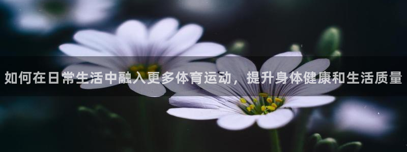 欧亿体育官方正版app娱乐是那个系列的台子:如何在日常生活中